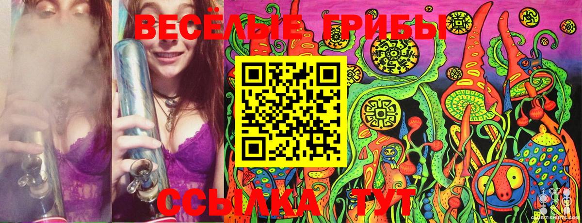 Галлюциногенные грибы Cubensis Сызрань