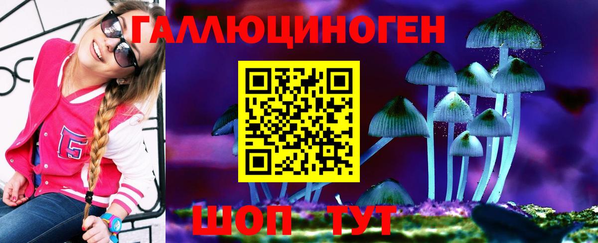 закладки  Вход с VPN  Сызрань  Галлюциногенные грибы Psilocybine cubensis 